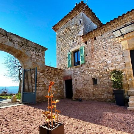 Lamillarié Domaine De Lejos - Portes D'Albi מראה חיצוני תמונה