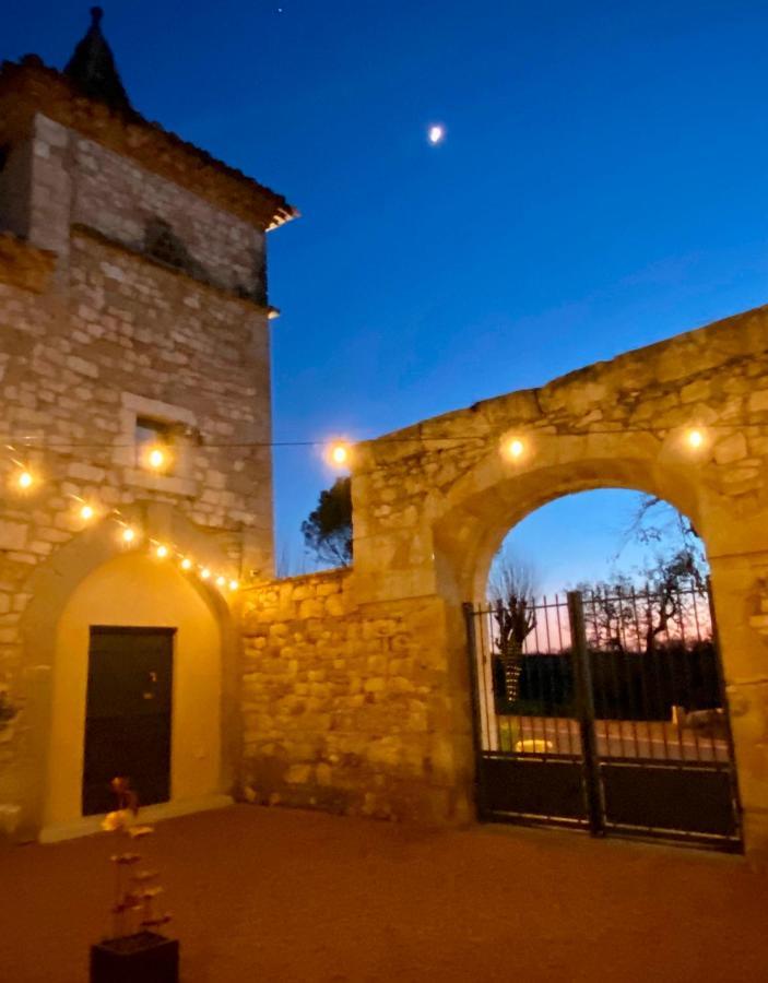 Lamillarié Domaine De Lejos - Portes D'Albi מראה חיצוני תמונה