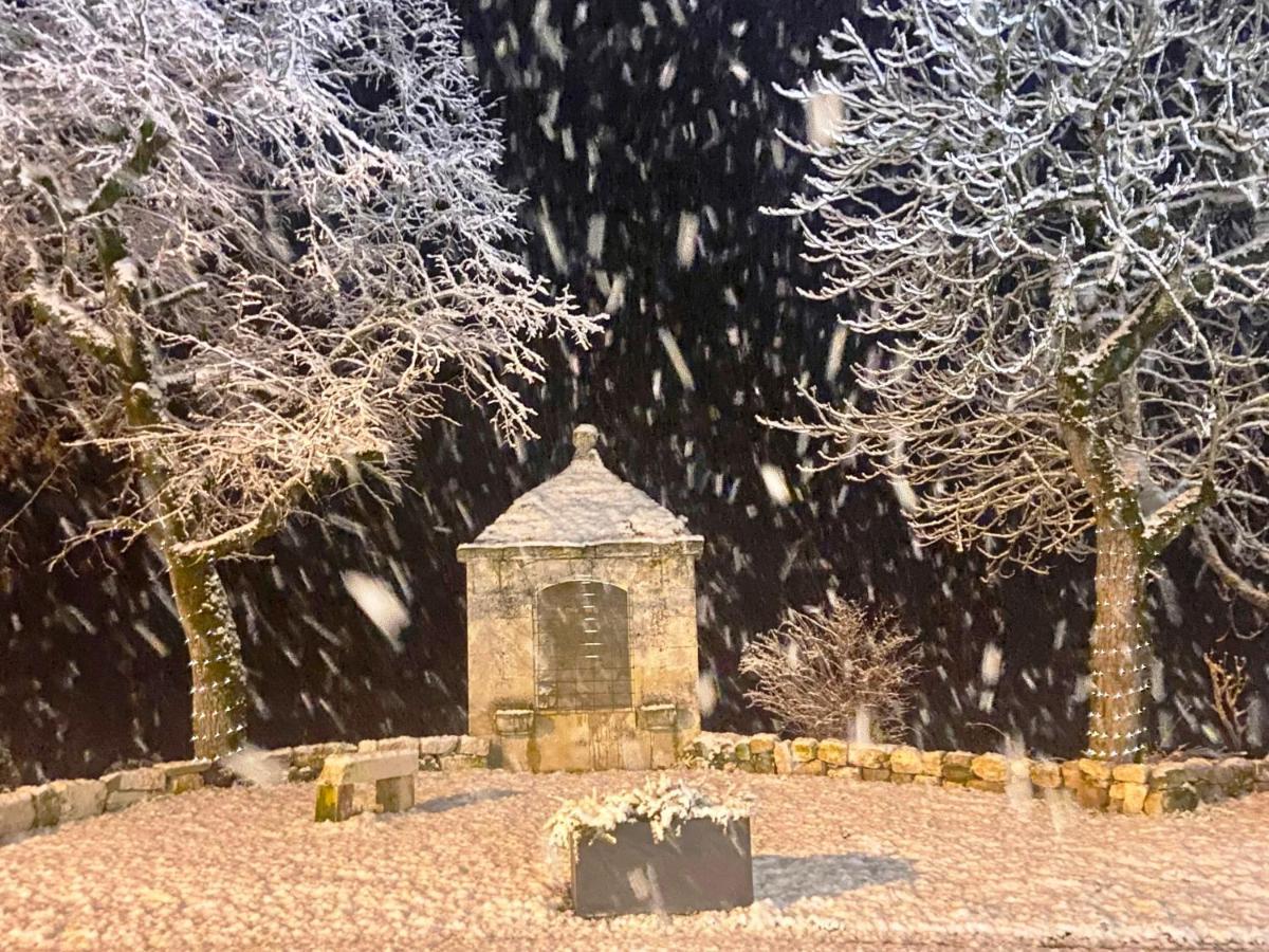 Lamillarié Domaine De Lejos - Portes D'Albi מראה חיצוני תמונה