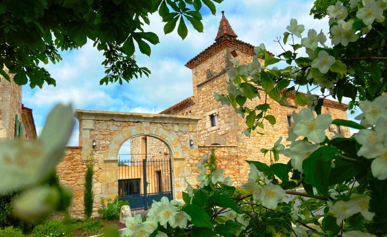 Lamillarié Domaine De Lejos - Portes D'Albi מראה חיצוני תמונה