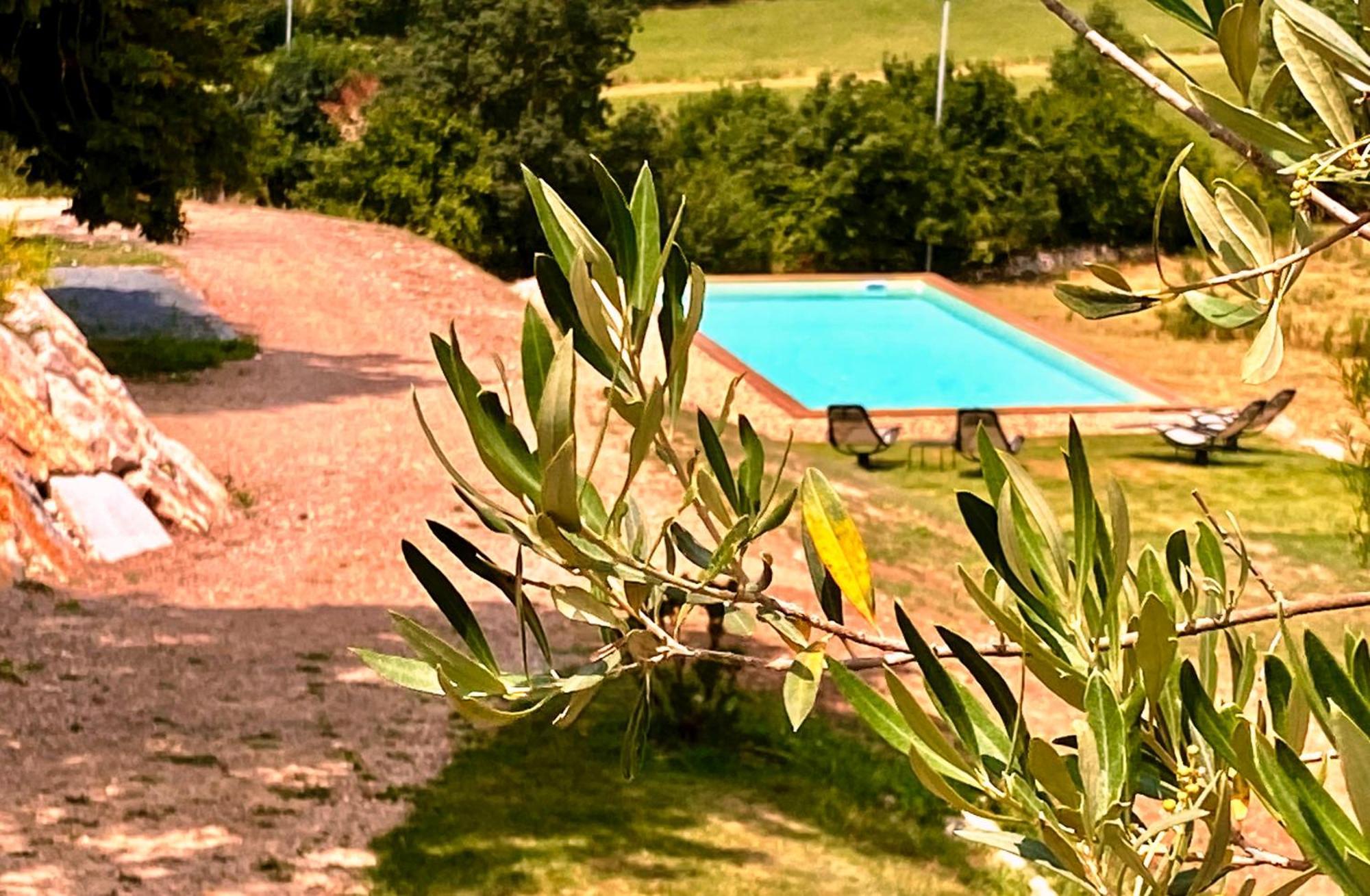 Lamillarié Domaine De Lejos - Portes D'Albi מראה חיצוני תמונה