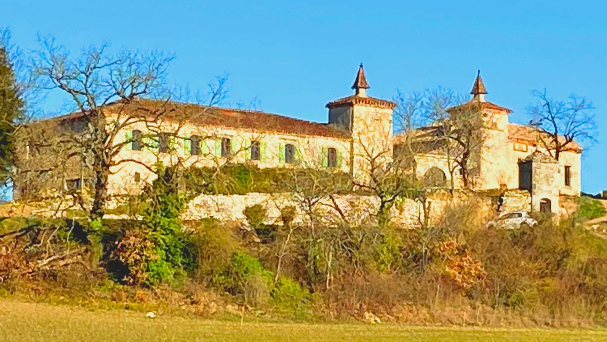Lamillarié Domaine De Lejos - Portes D'Albi מראה חיצוני תמונה
